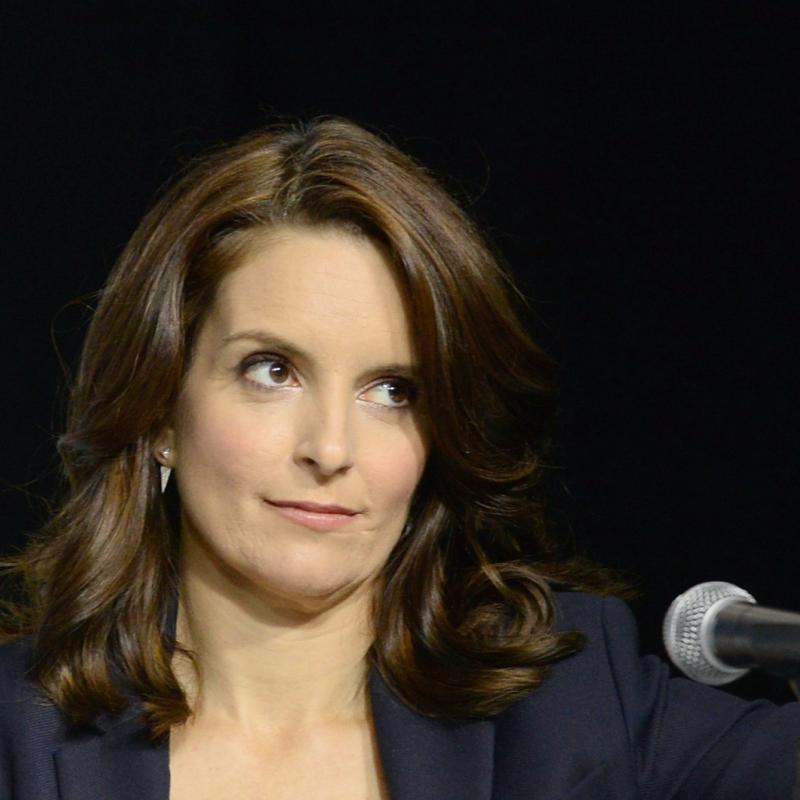 Actress and author Tina Fey smirks with bemusement at a press event in 2014