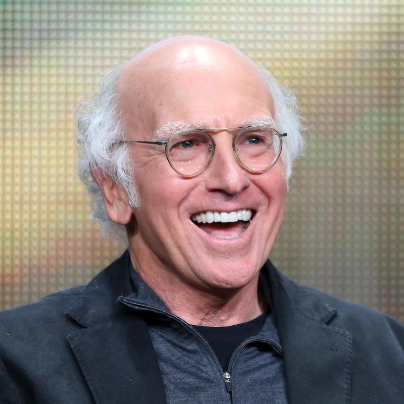 Writer and actor Larry David